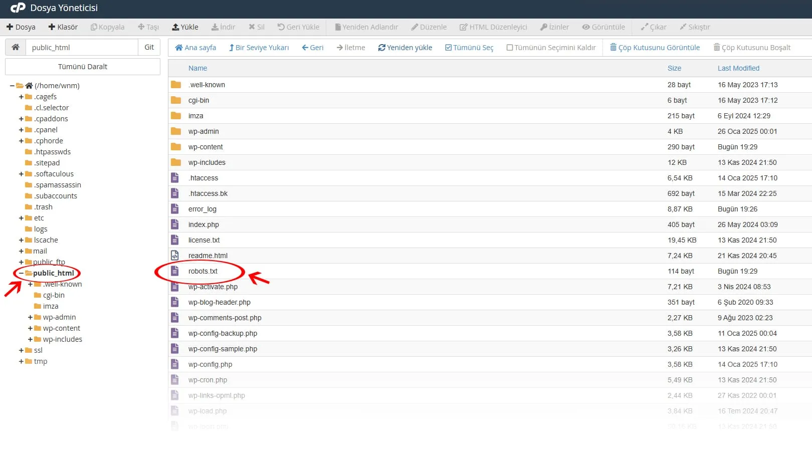 Наглядная схема работы файла robots.txt для WordPress, показывающая как поисковые роботы взаимодействуют с директориями сайта