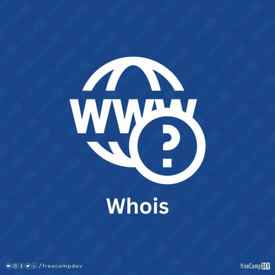 Интерфейс whois сервиса с примером запроса и отображением данных о домене, включая регистранта и даты